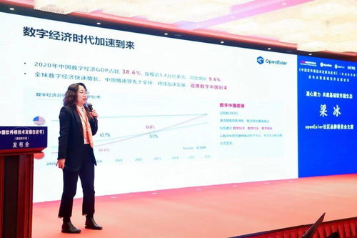 中国基础软件根技术发展白皮书发布，北京软件技术开发迎来新机遇